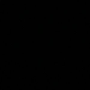 Meet your Posher, Lydia